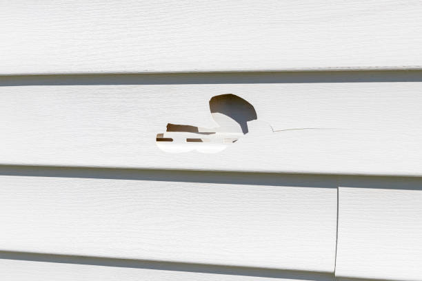 Trusted Redmond, WA Siding Experts